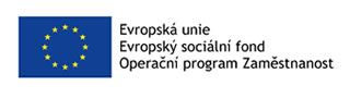 Primary Raster logo